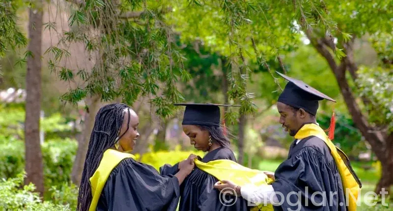 YENİ MEZUN İŞ İLANLARI