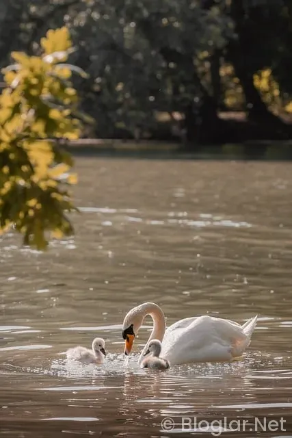 Ziyaretcilerinizi ilk Bakışta etkileyecek şık ve profesyonel tasarım Ziyaretcilerinizi ilk Bakışta etkileyecek şık ve profesyonel tasarım
