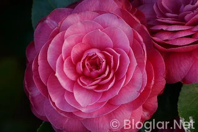 Ziyaretcilerinizi sayfanizda daha uzun tutacak akıcı kullanıcı deneyimi Ziyaretcilerinizi sayfanizda daha uzun tutacak akıcı kullanıcı deneyimi