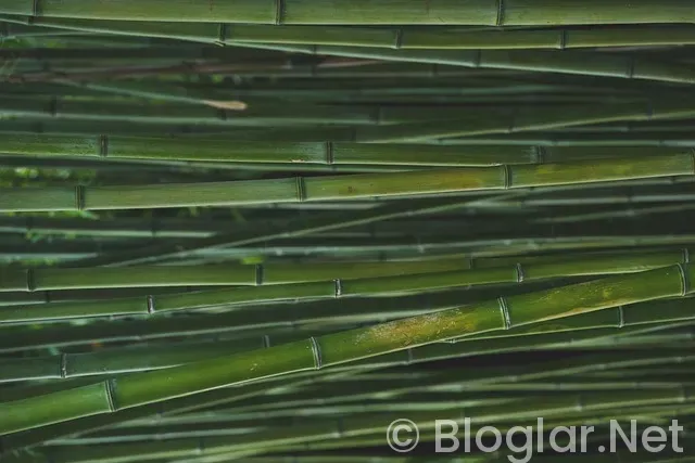 Dolar Yatırımı ile Para Kazanma 2026: Başlangıç Rehberi ve 5 Akıllı Strateji