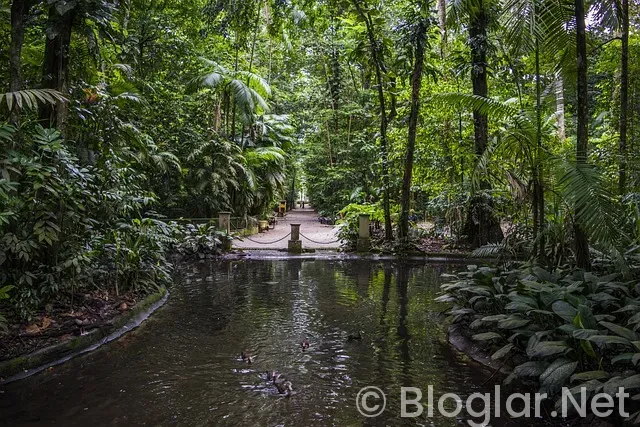 Kolay İnternetten Para Kazanma Yolları 2026: Evden Ek Gelir için 15 Yöntem