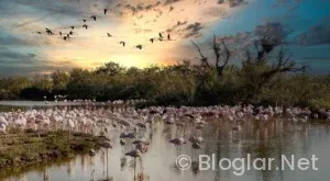 Metin2’de Gerçek Para Kazanma 2026: Riskler, Yöntemler ve Yasal Uyarılar