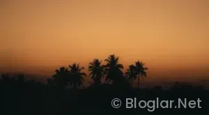 Tokat İŞKUR Güncel İş İlanları: Resmi ve Sigortalı İş Başvuruları Nasıl Yapılır?