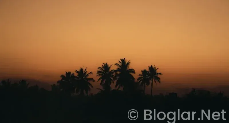 Tokat İŞKUR Güncel İş İlanları: Resmi ve Sigortalı İş Başvuruları Nasıl Yapılır?